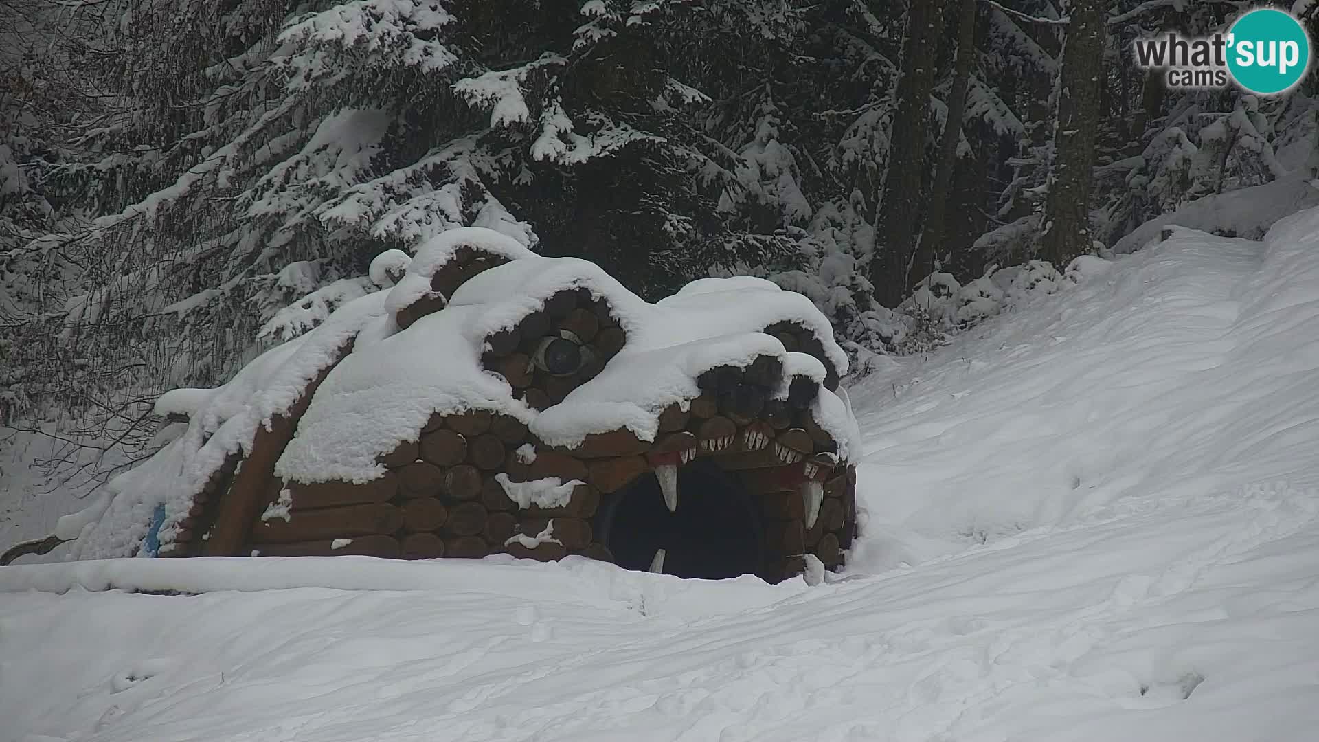 Vitranc Kranjska Gora webcam | VITRANC 1 stazione superiore