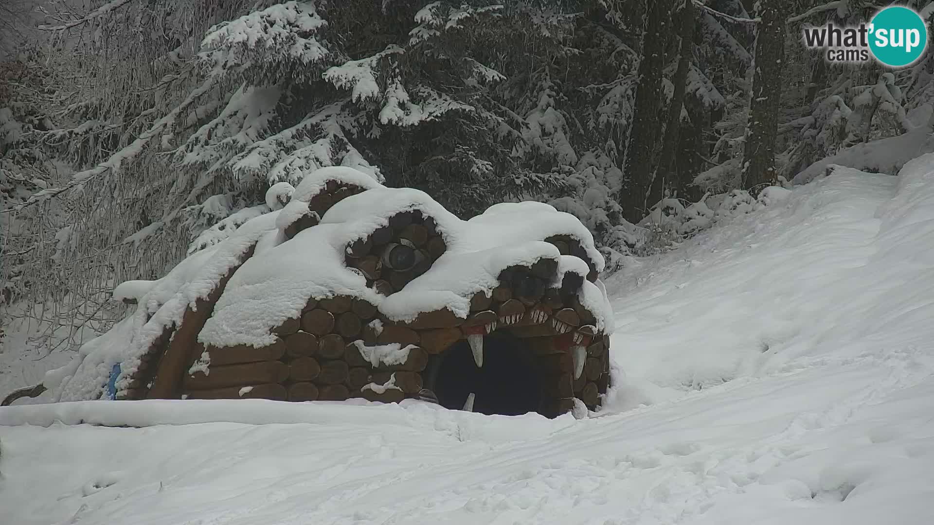 Ski Resort Kranjska Gora | VITRANC 1 upper station