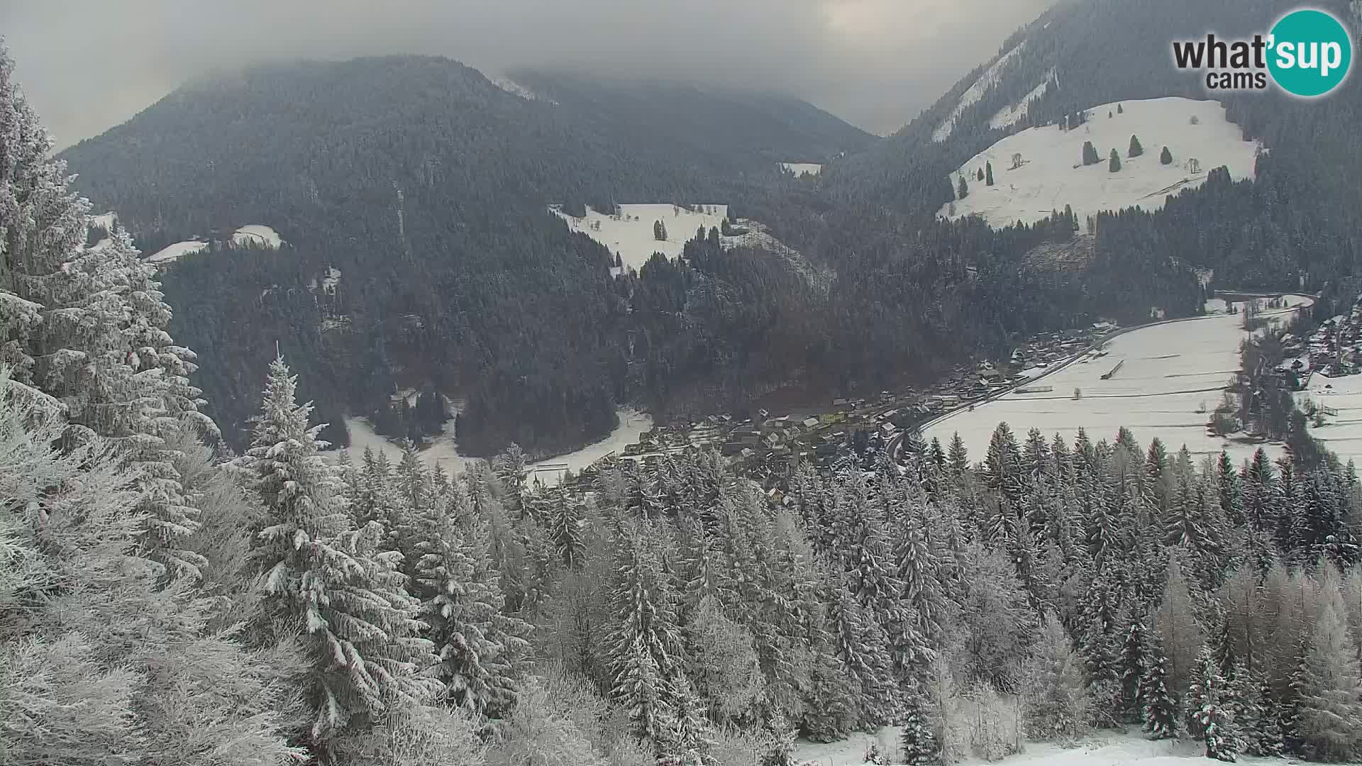 Vitranc Kranjska Gora webcam | VITRANC 1 stazione superiore