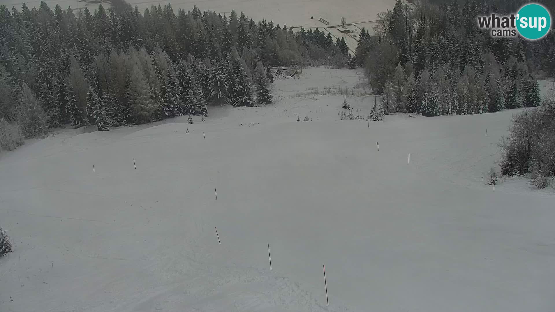 Kranjska Gora livecam VITRANC 1 | estación superior