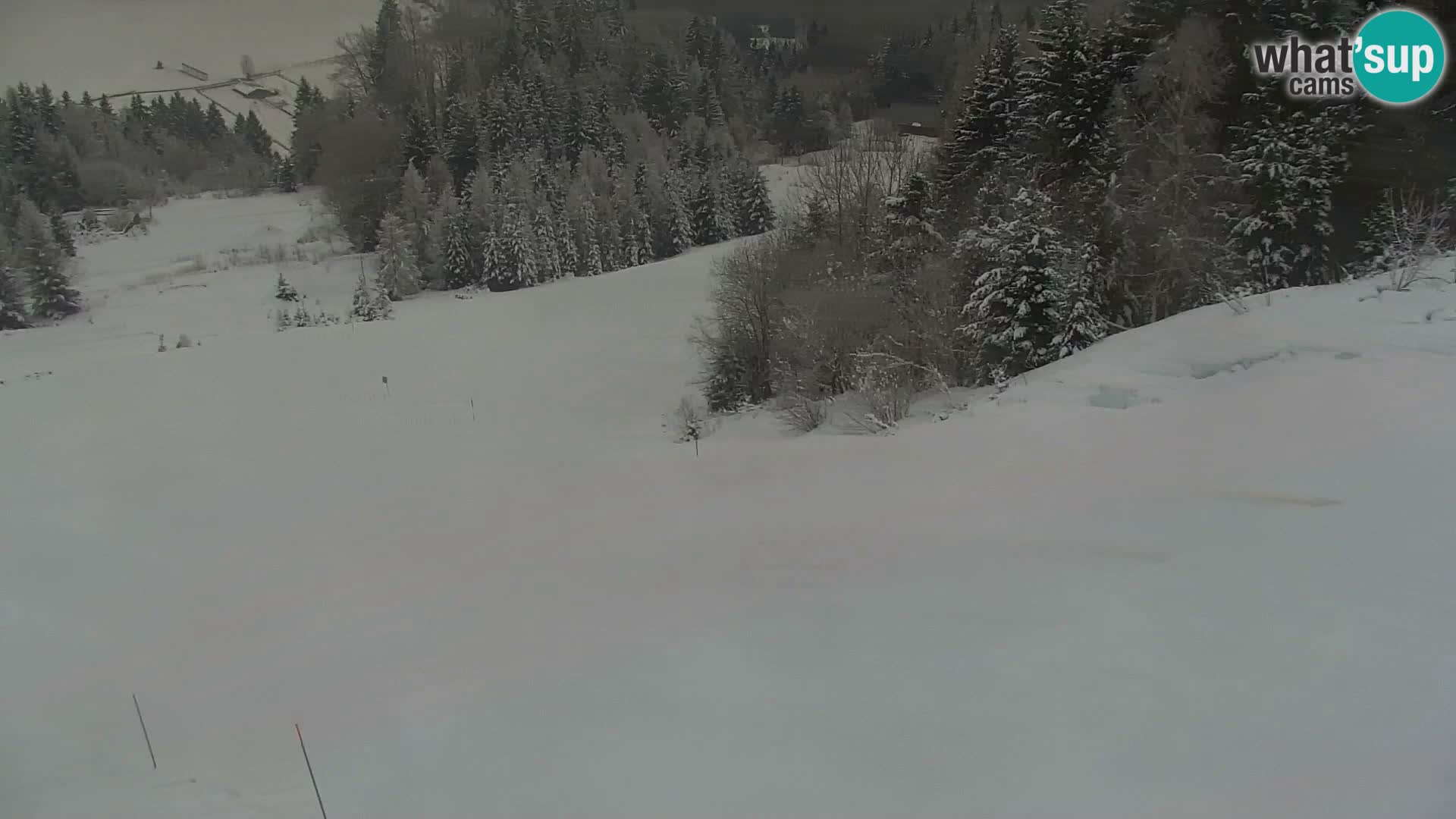 Kranjska Gora webcam VITRANC 1 | obere Station