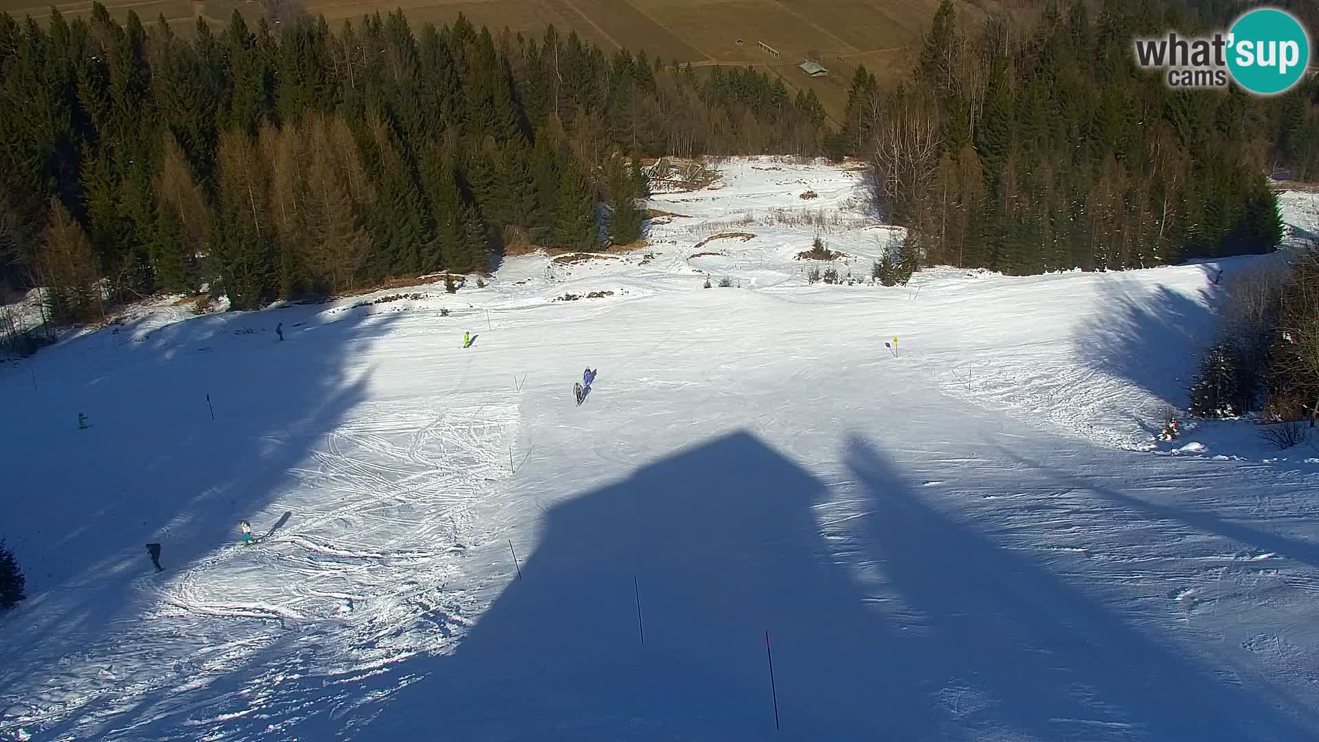 Vitranc Kranjska Gora webcam | VITRANC 1 stazione superiore