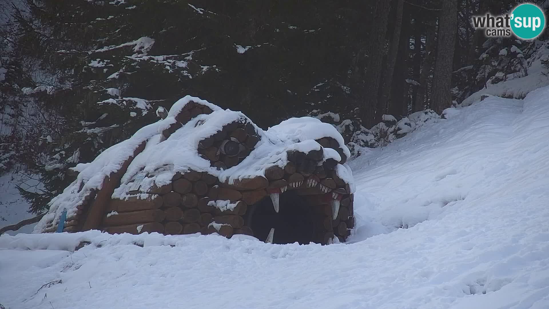 RTC Kranjska Gora – Vitranc