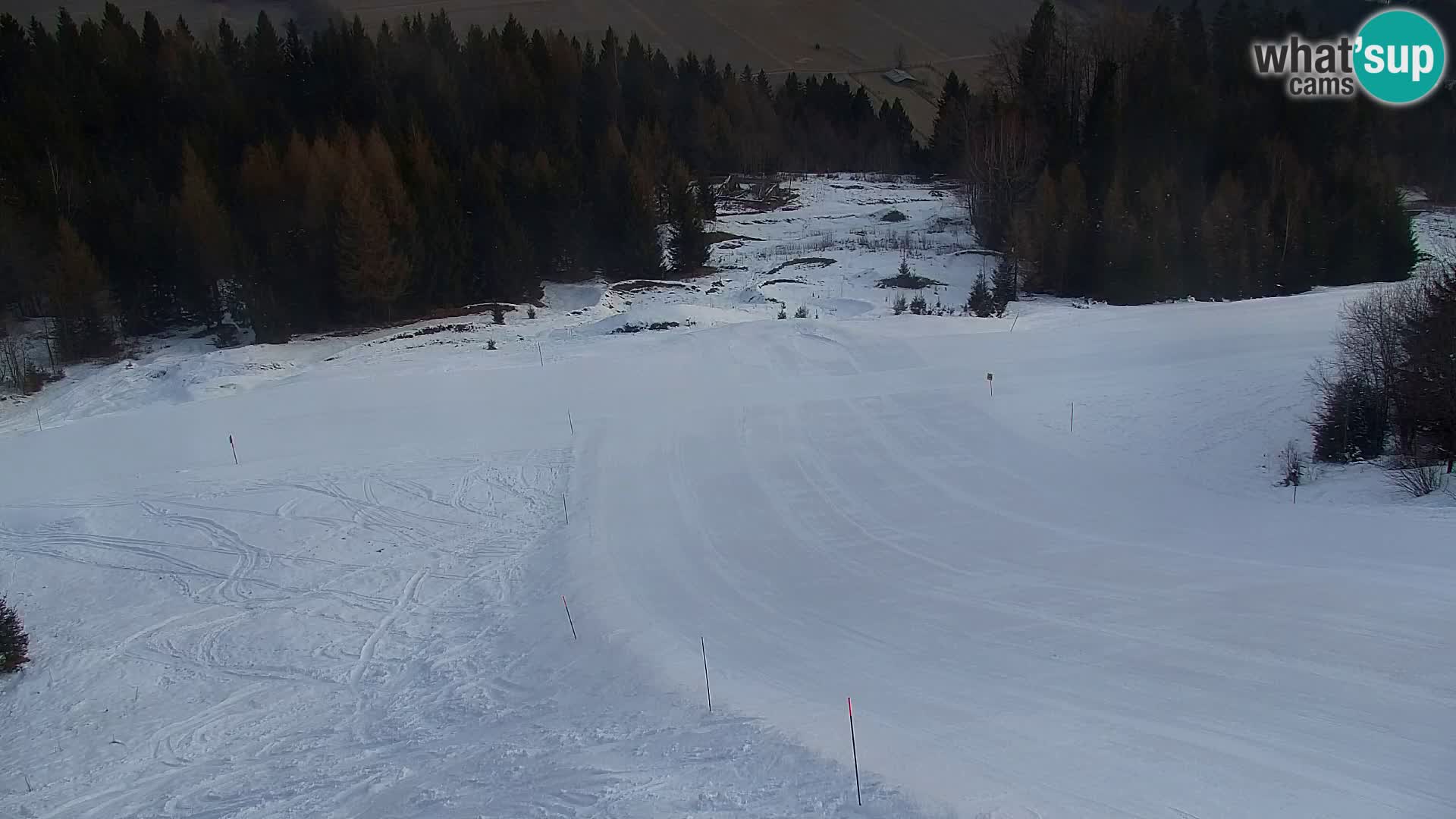 Kranjska Gora web kamera Vitranc | VITRANC 1 gornja postaja