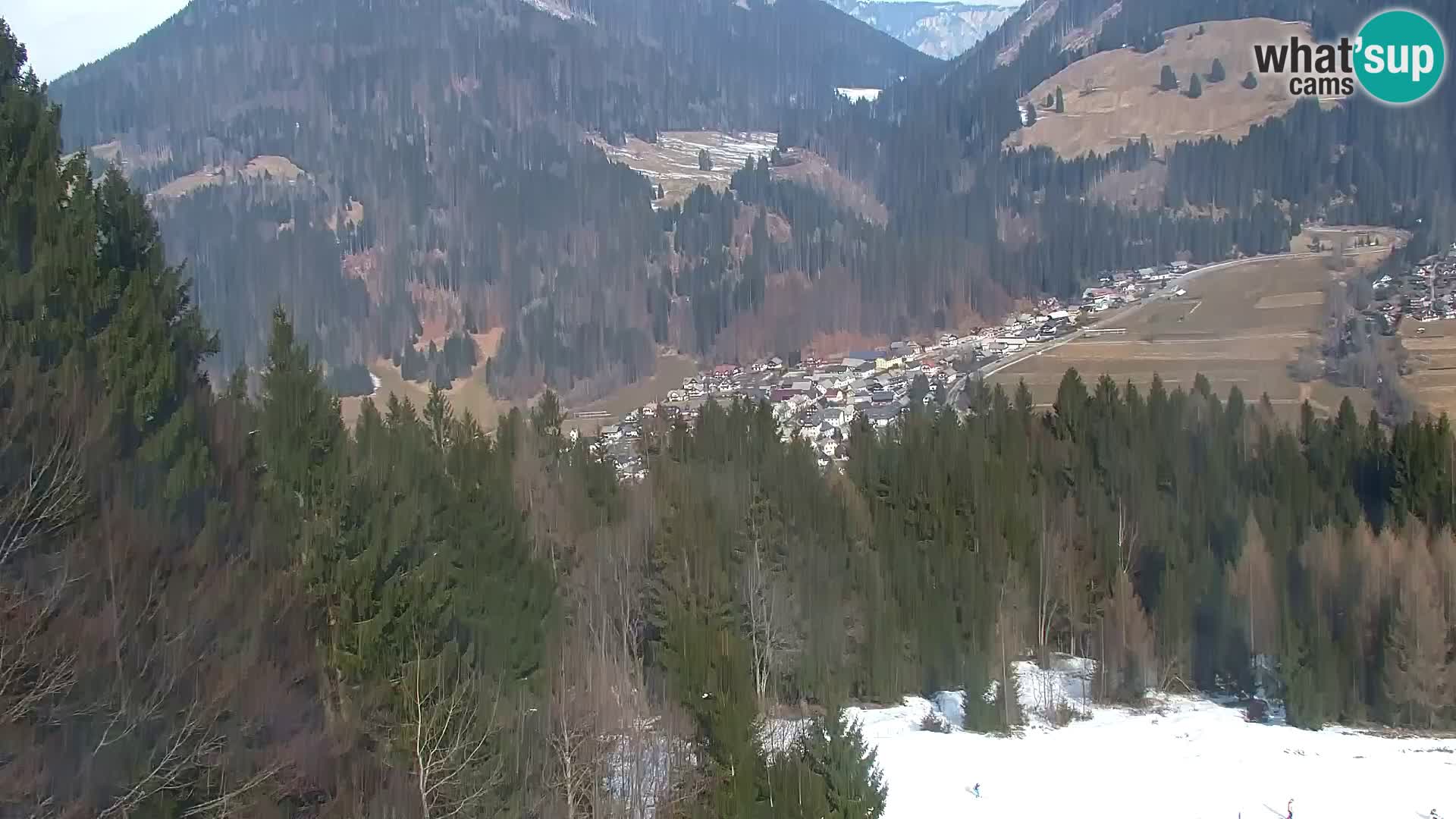 Vitranc Kranjska Gora webcam | VITRANC 1 stazione superiore