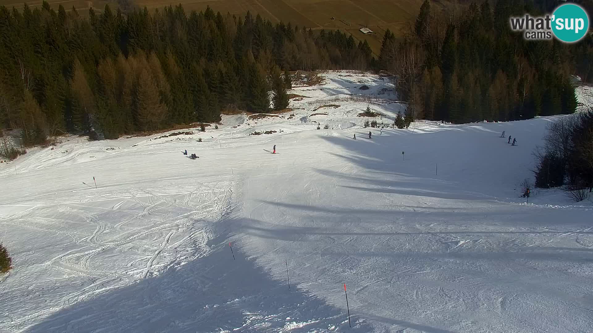 Kranjska Gora web kamera Vitranc | VITRANC 1 gornja postaja