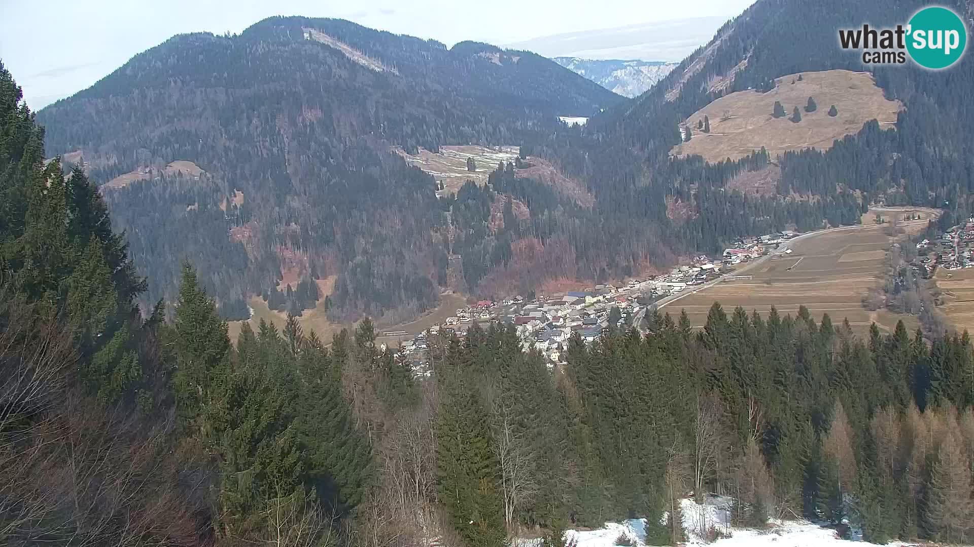 Vitranc Kranjska Gora webcam | VITRANC 1 stazione superiore