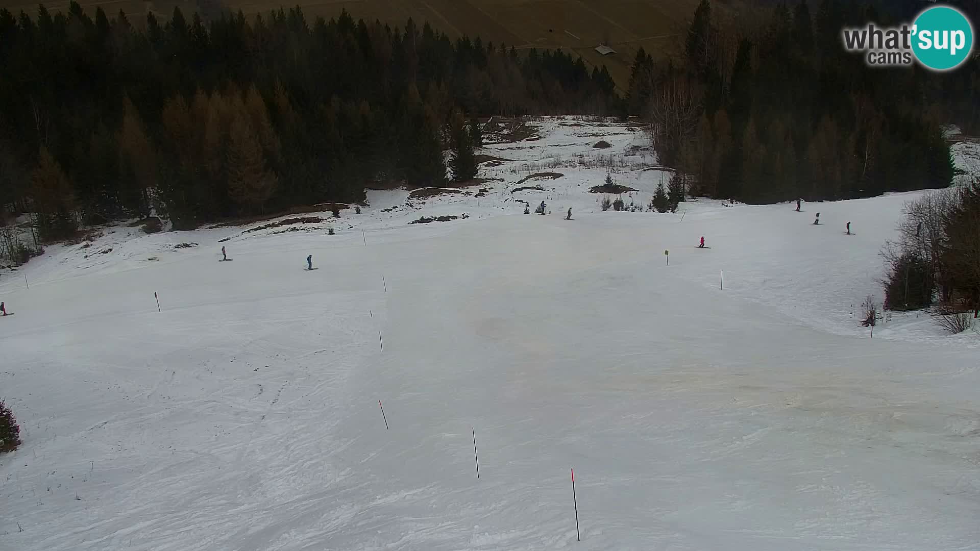 Kranjska Gora livecam VITRANC 1 | estación superior