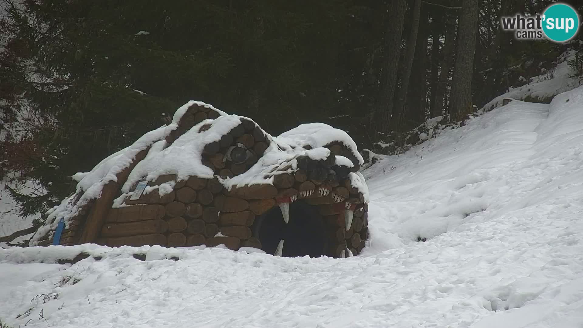 Kranjska Gora kamera VITRANC 1 | Zgornja postaja