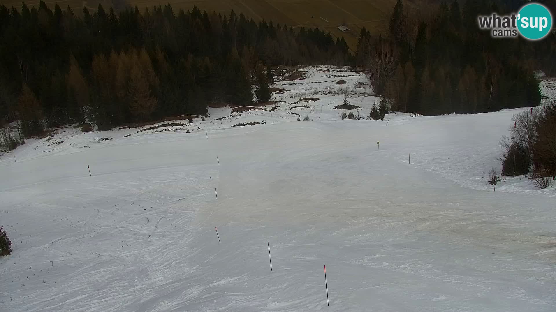 Estación de esquí Kranjska Gora | Estación superior VITRANC 1