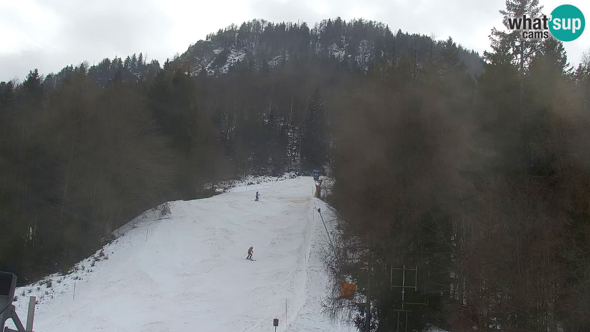 Vitranc Kranjska Gora webcam | VITRANC 1 stazione superiore