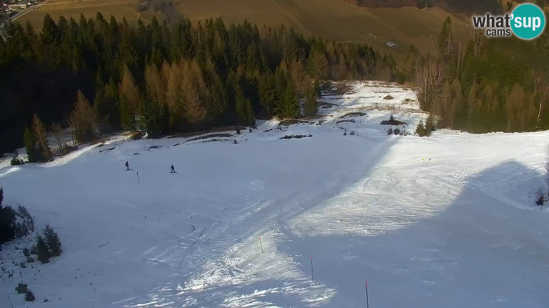 Vitranc Kranjska Gora webcam | VITRANC 1 stazione superiore