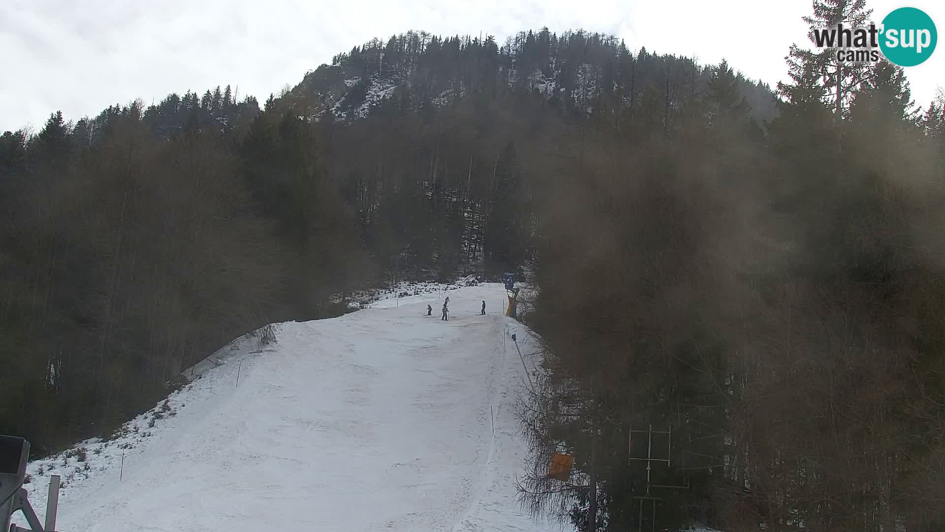 Vitranc Kranjska Gora webcam | VITRANC 1 stazione superiore