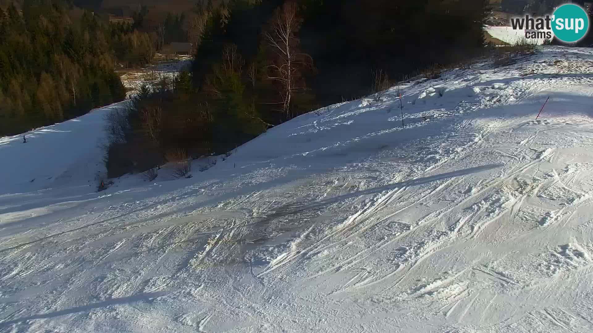 Kranjska Gora web kamera Vitranc | VITRANC 1 gornja postaja