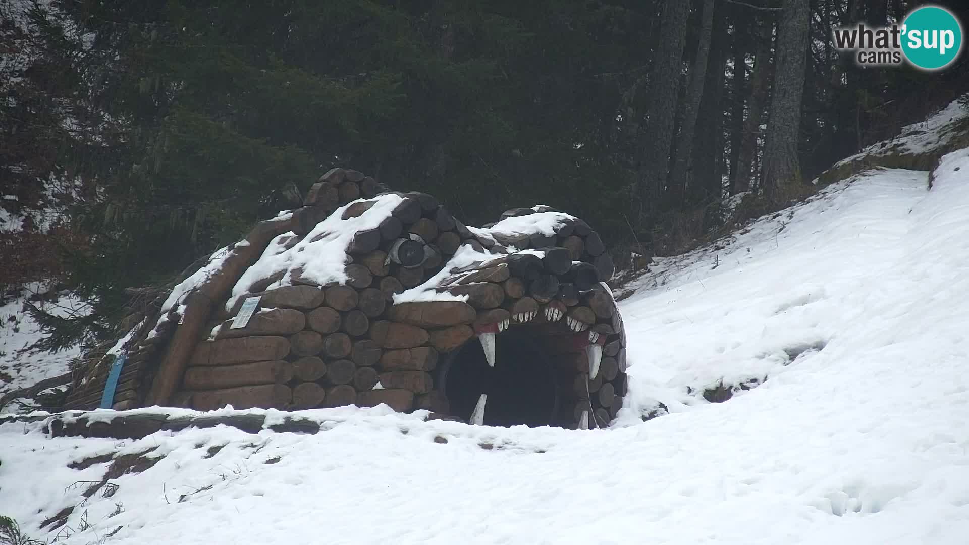 Kranjska Gora web kamera Vitranc | VITRANC 1 gornja postaja