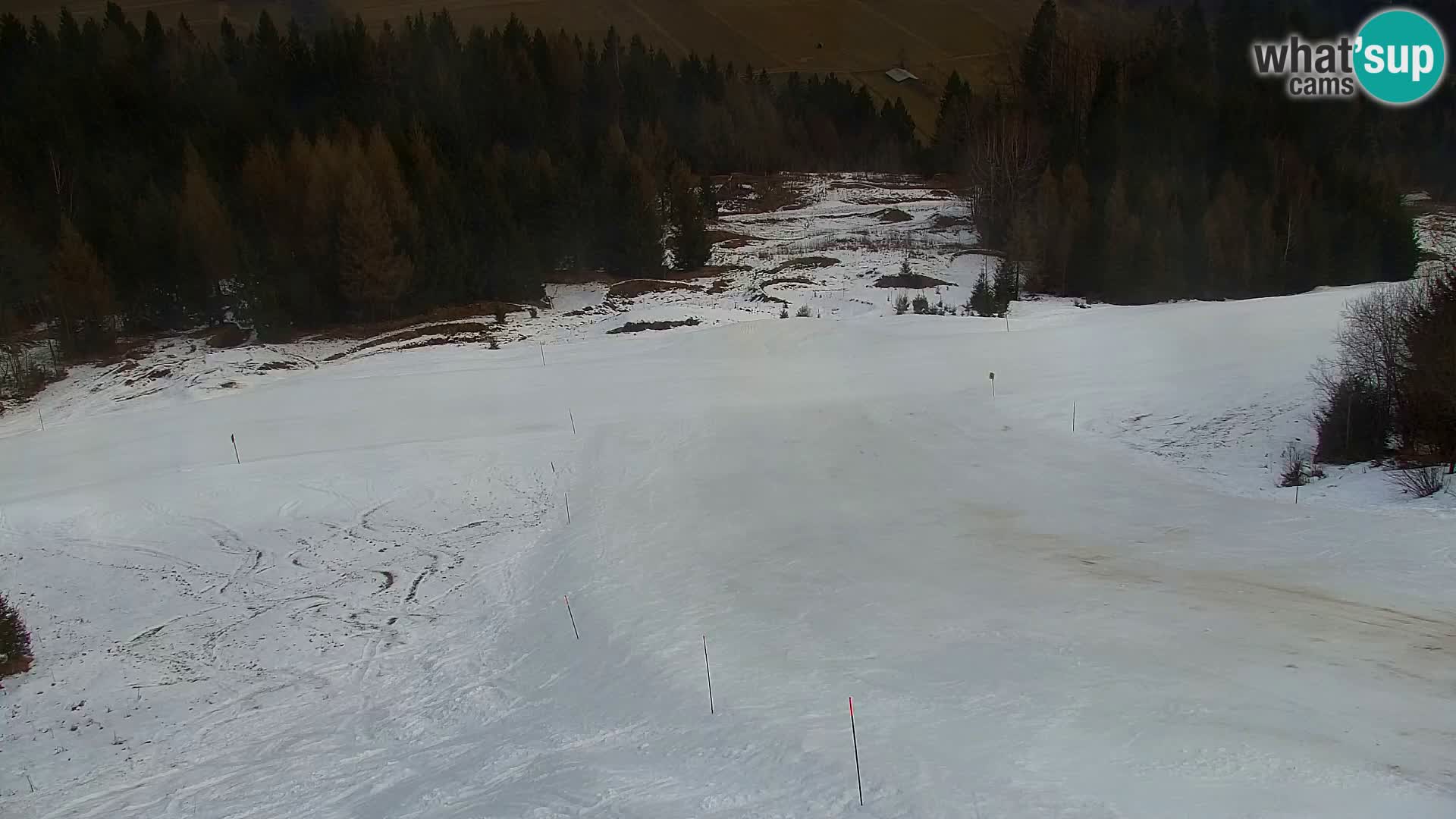 Kranjska Gora livecam VITRANC 1 | estación superior