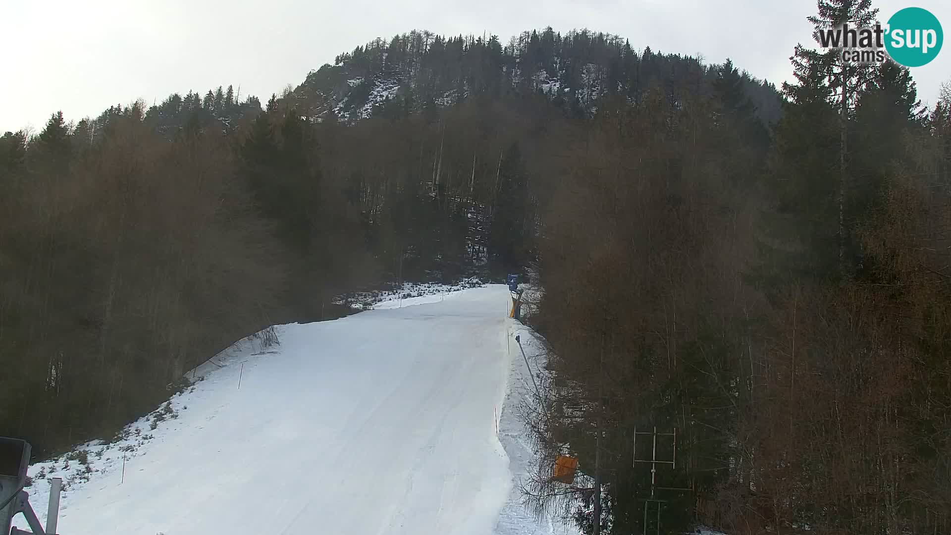 Kranjska Gora web kamera Vitranc | VITRANC 1 gornja postaja