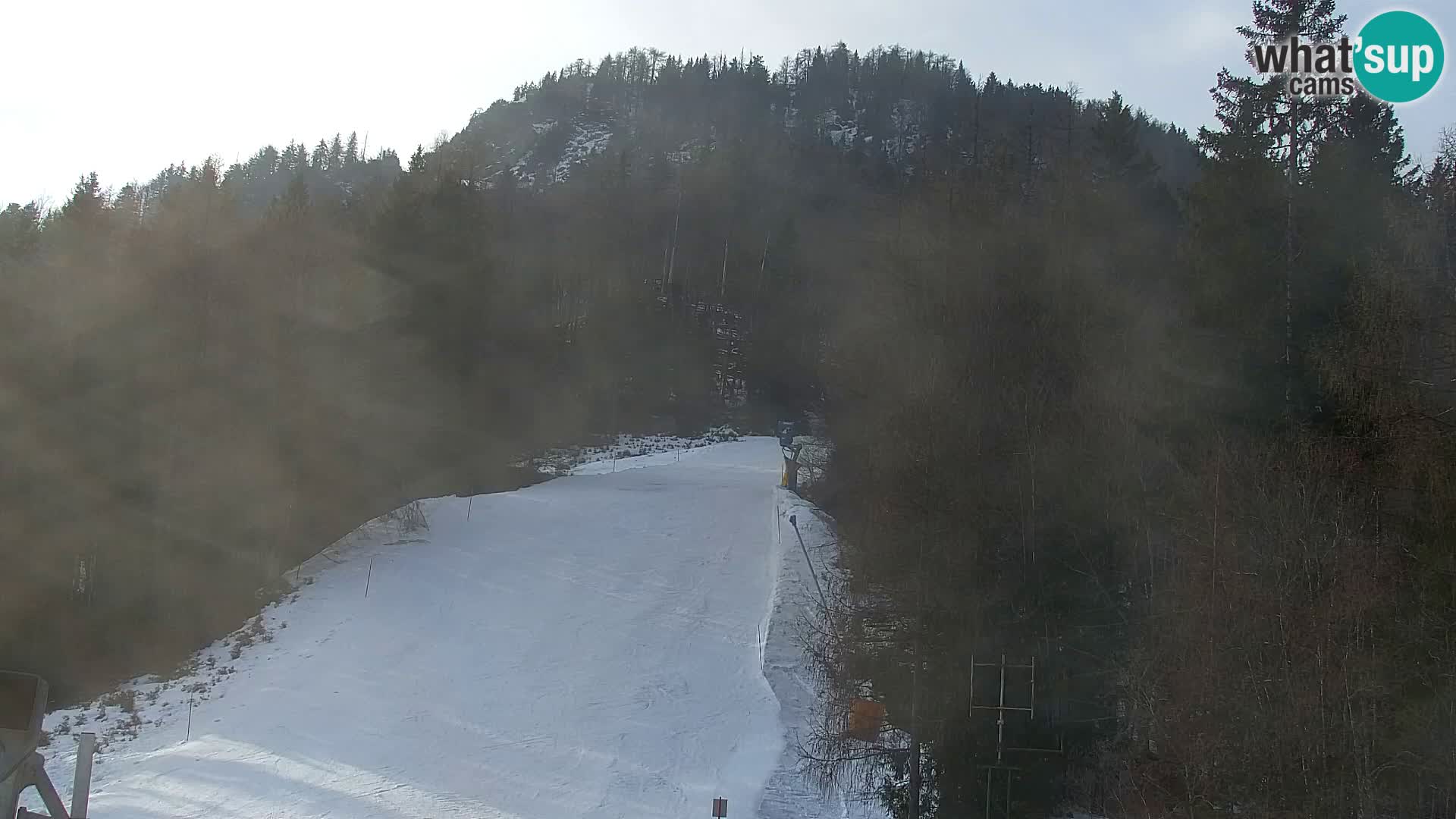 Vitranc Kranjska Gora webcam | VITRANC 1 stazione superiore