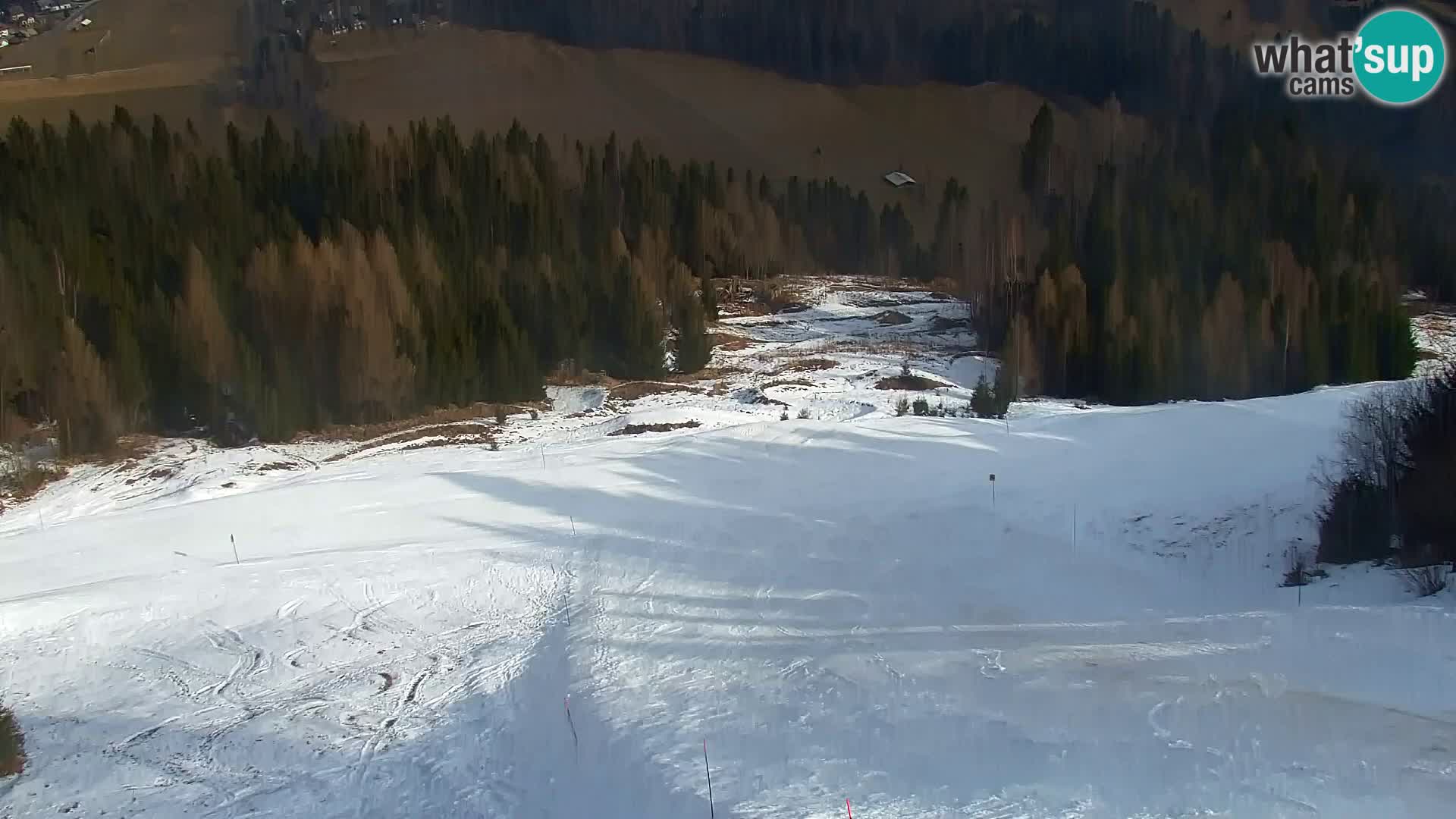 Vitranc Kranjska Gora webcam | VITRANC 1 stazione superiore