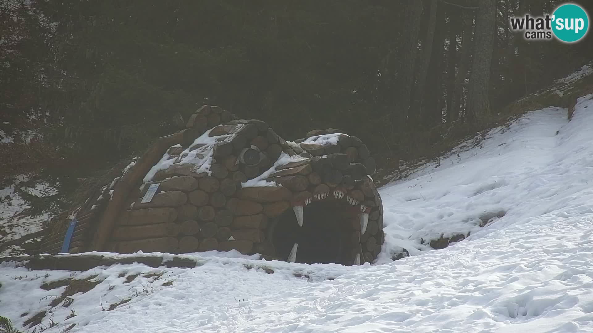 Kranjska Gora kamera VITRANC 1 | Zgornja postaja