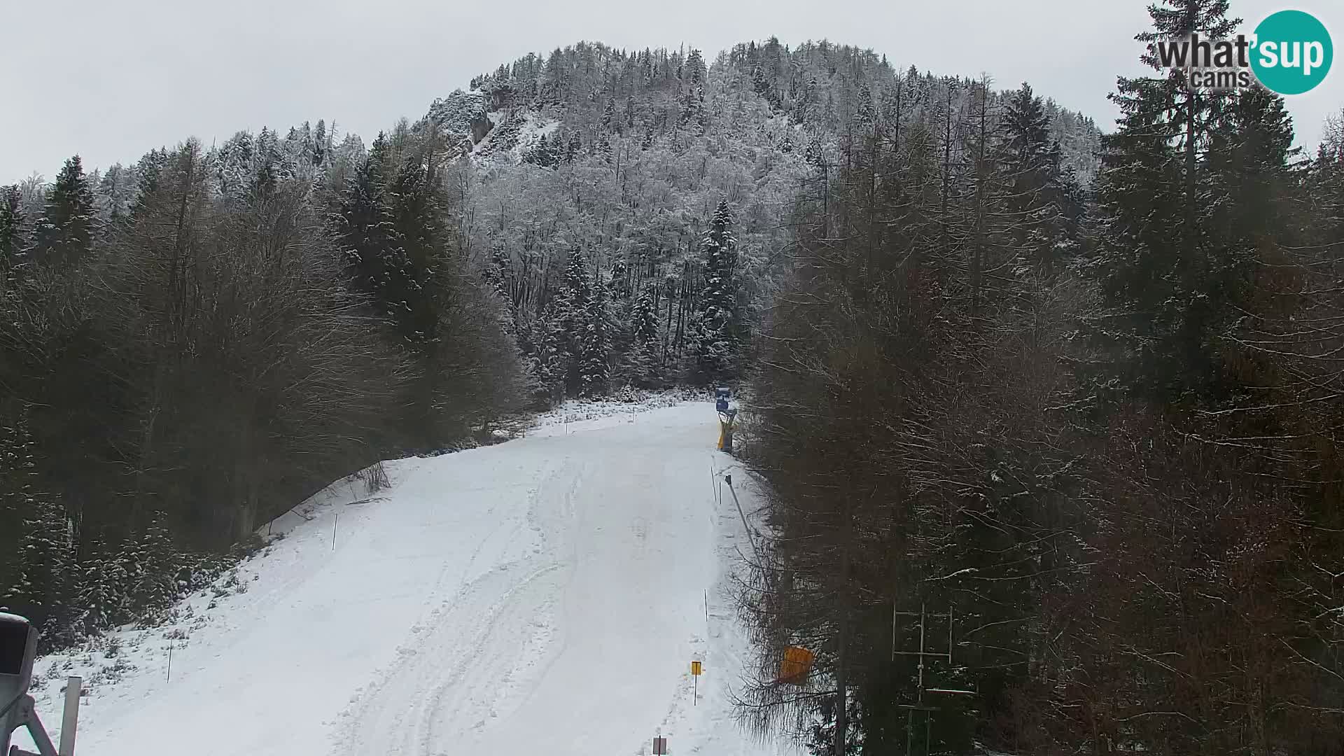 RTC Kranjska Gora – Vitranc