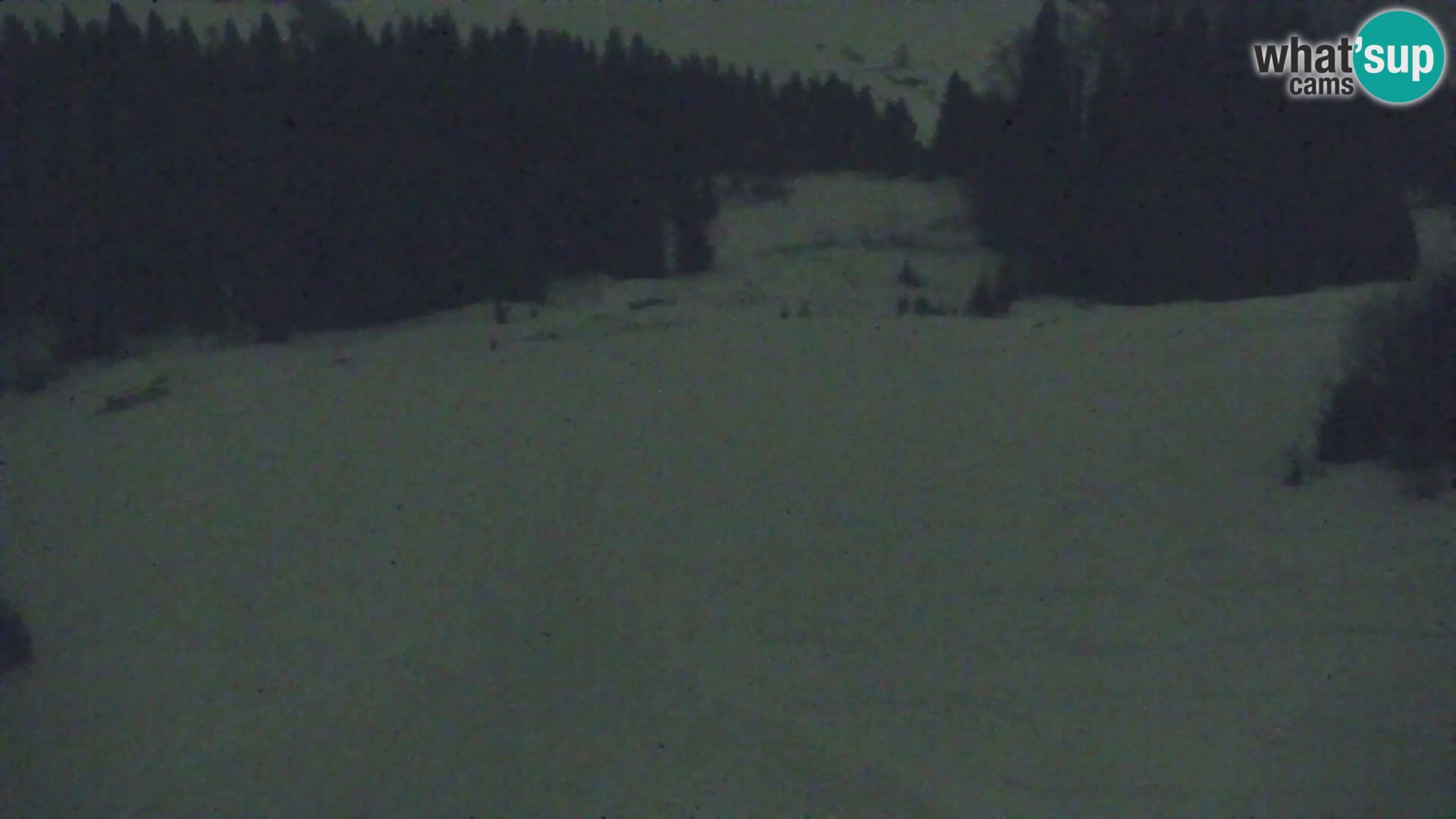 Vitranc Kranjska Gora webcam | VITRANC 1 stazione superiore