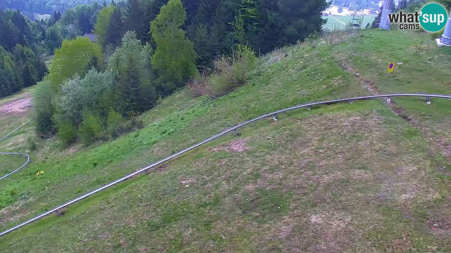 Vitranc Kranjska Gora webcam | VITRANC 1 stazione superiore
