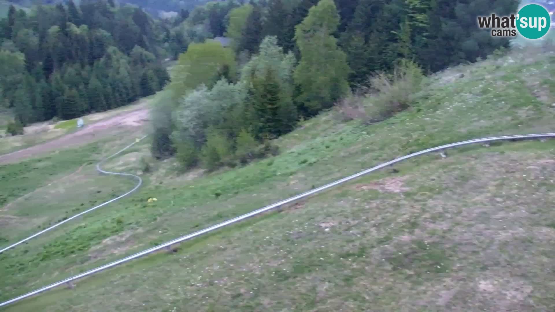 Vitranc Kranjska Gora webcam | VITRANC 1 stazione superiore