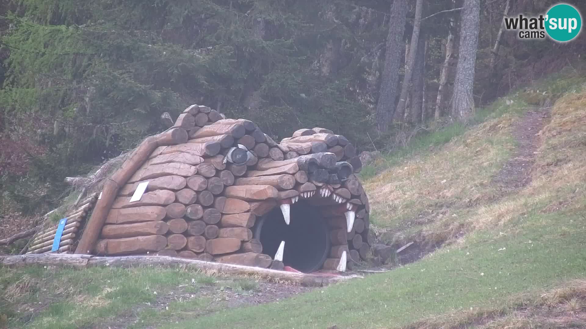 Kranjska Gora web kamera Vitranc | VITRANC 1 gornja postaja