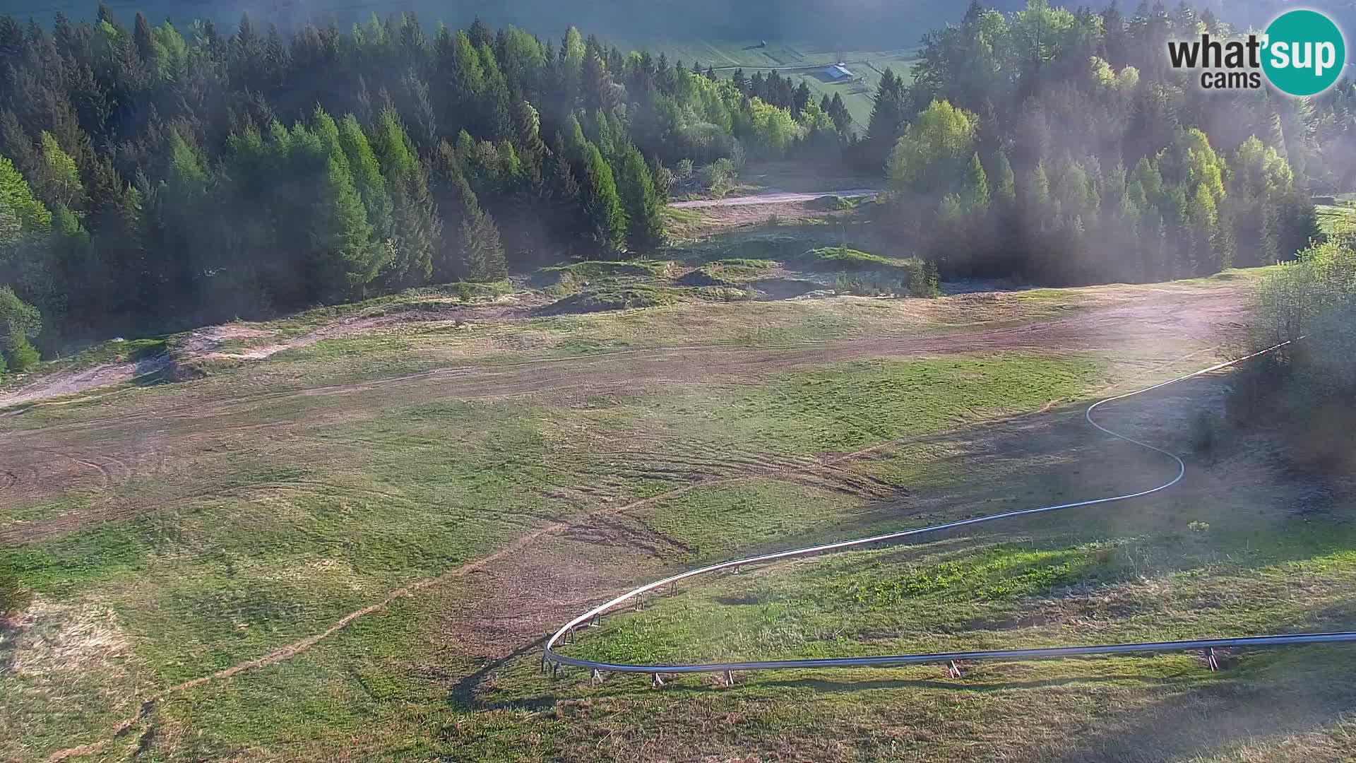 Vitranc Kranjska Gora webcam | VITRANC 1 stazione superiore