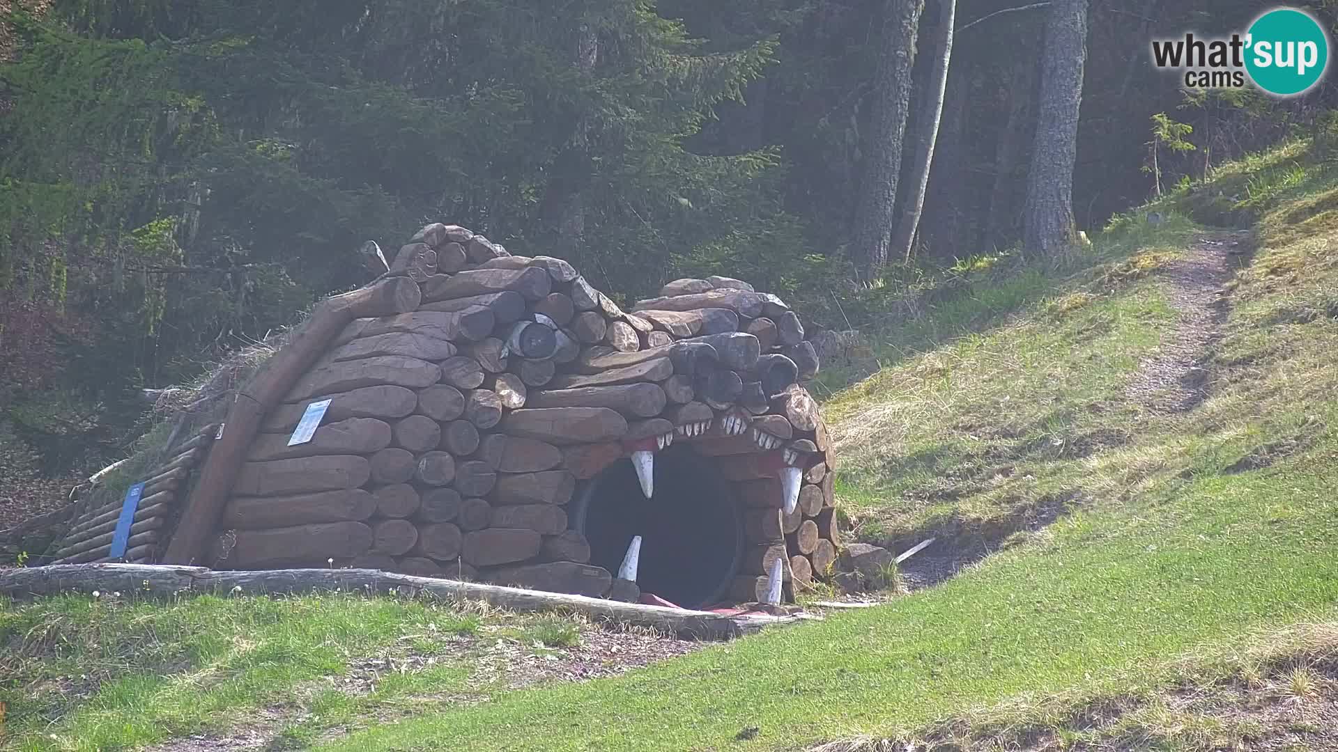 Kranjska Gora kamera VITRANC 1 | Zgornja postaja