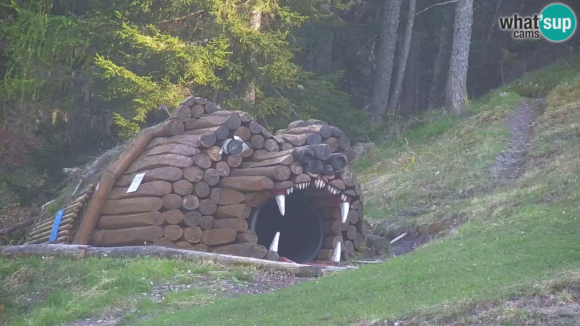 Kranjska Gora livecam VITRANC 1 | estación superior