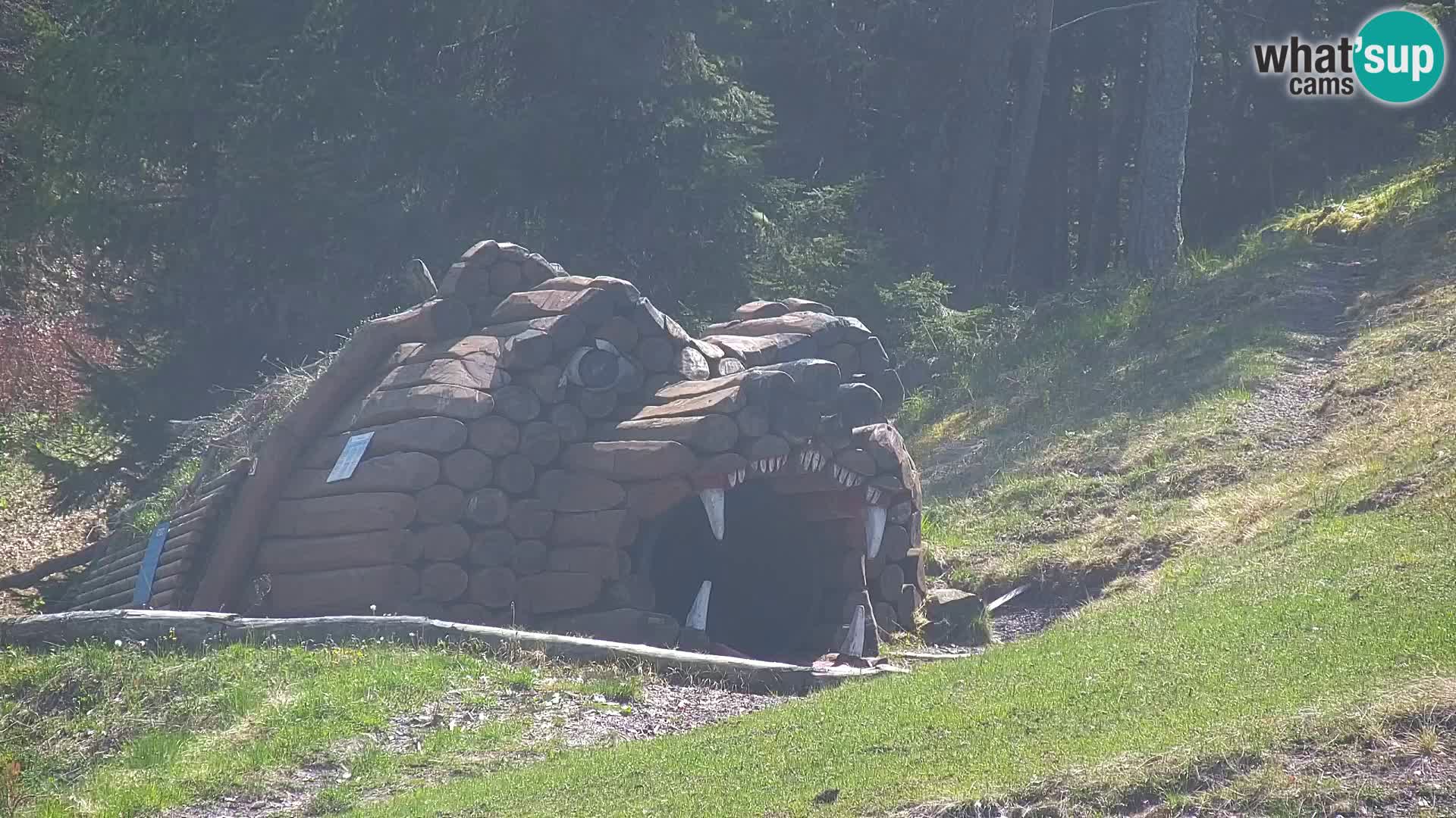 Kranjska Gora kamera VITRANC 1 | Zgornja postaja
