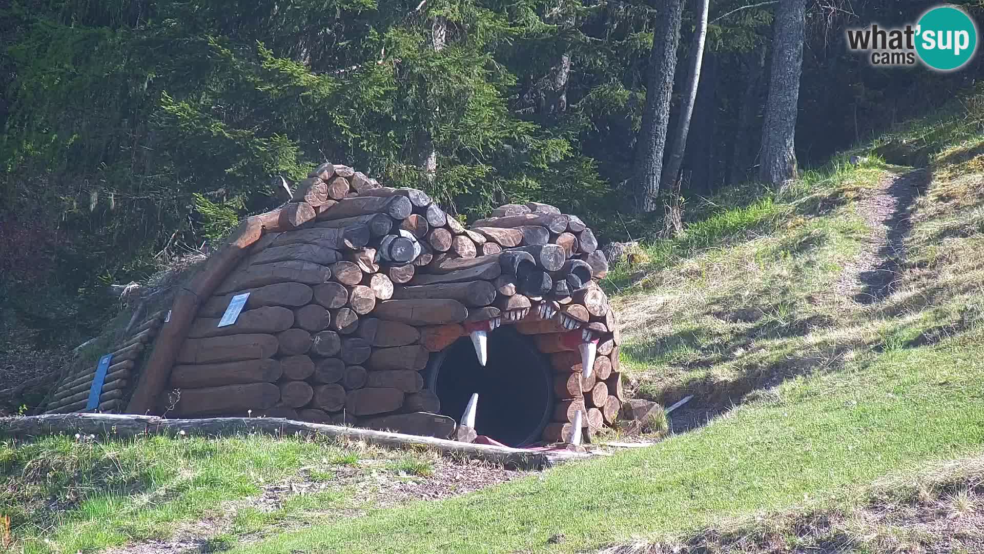 Vitranc Kranjska Gora webcam | VITRANC 1 stazione superiore