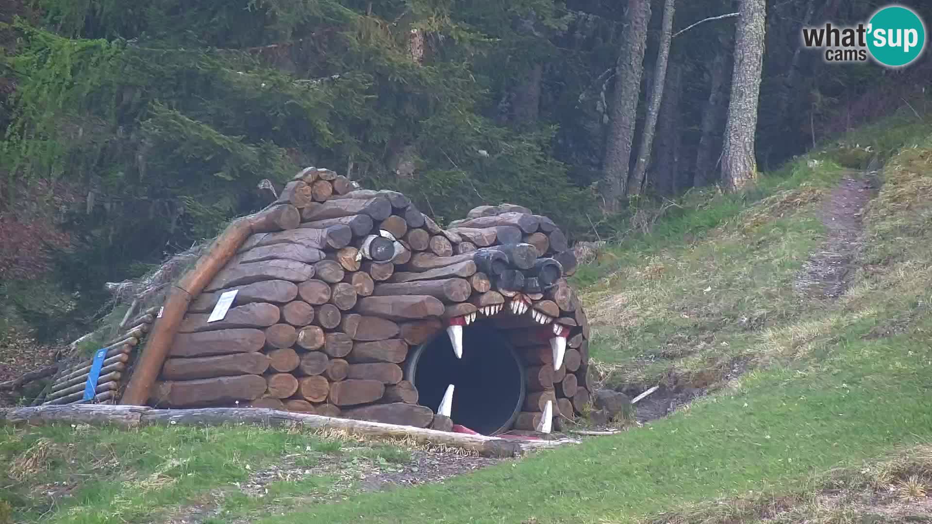 RTC Kranjska Gora – Vitranc