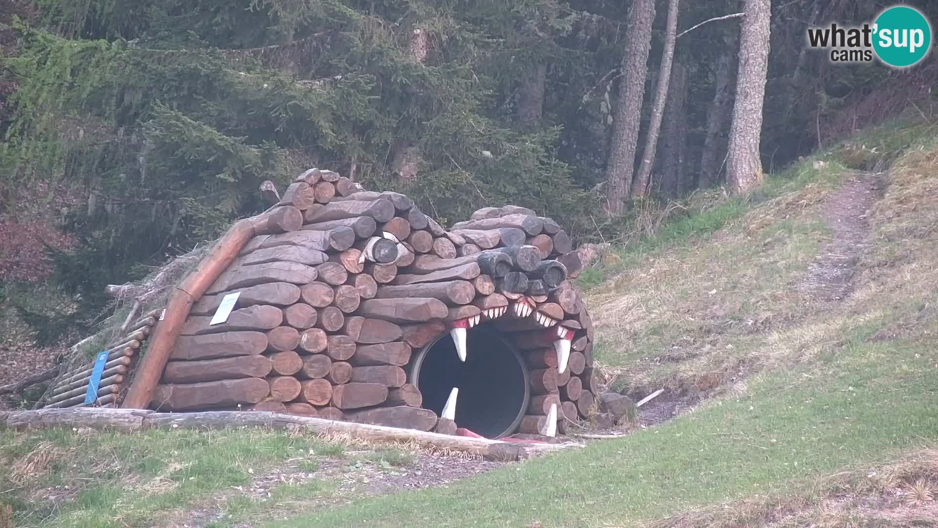 Kranjska Gora web kamera Vitranc | VITRANC 1 gornja postaja