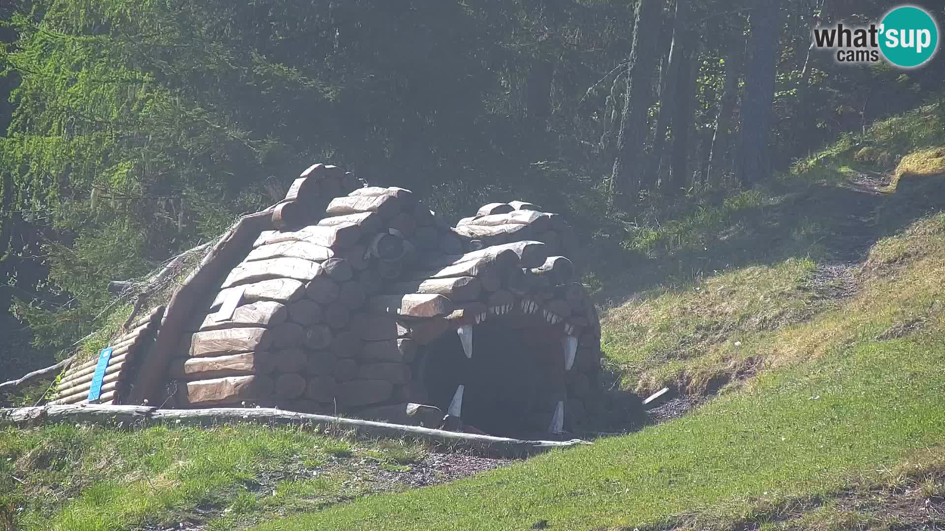 Vitranc Kranjska Gora webcam | VITRANC 1 stazione superiore