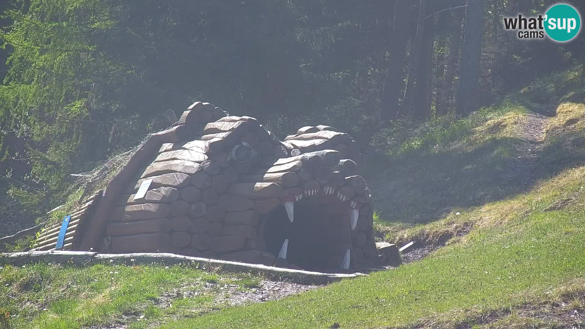 Kranjska Gora web kamera Vitranc | VITRANC 1 gornja postaja