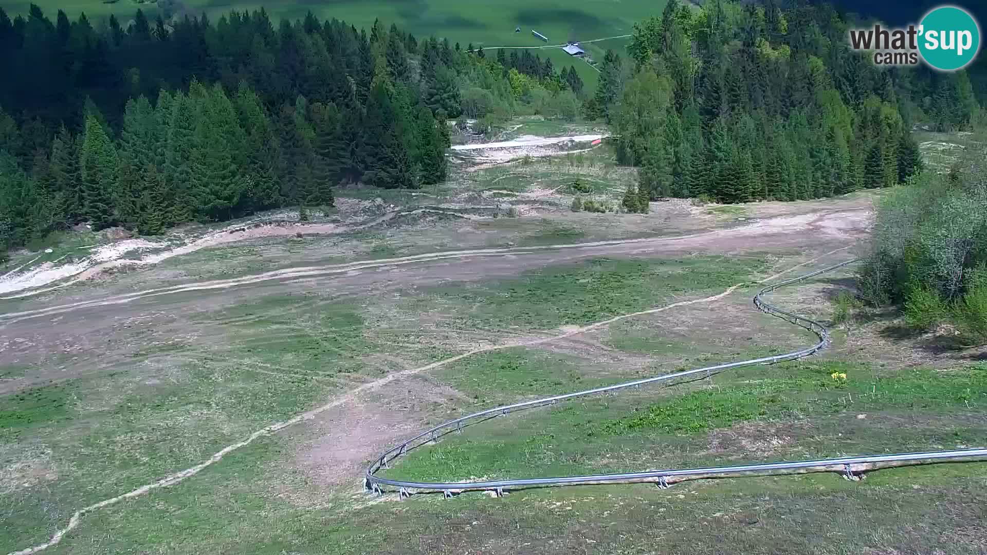Vitranc Kranjska Gora webcam | VITRANC 1 stazione superiore