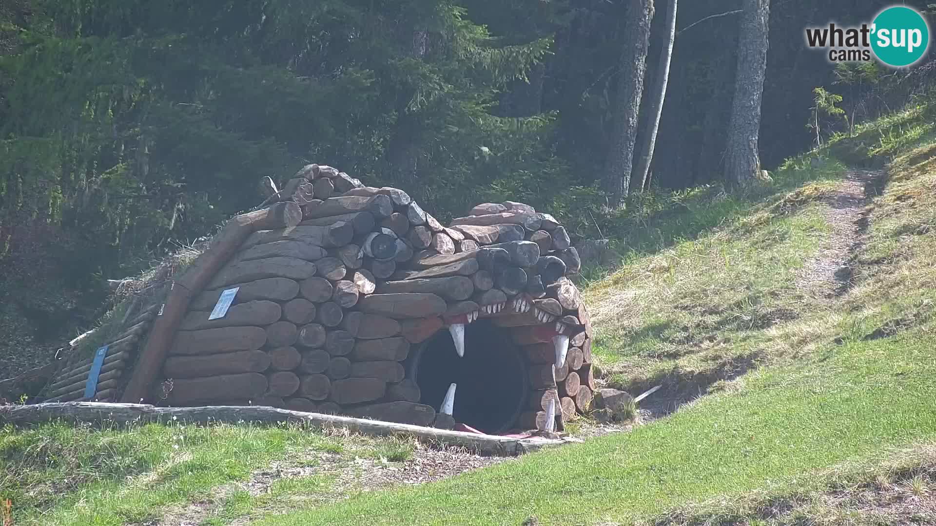 Kranjska Gora livecam VITRANC 1 | estación superior