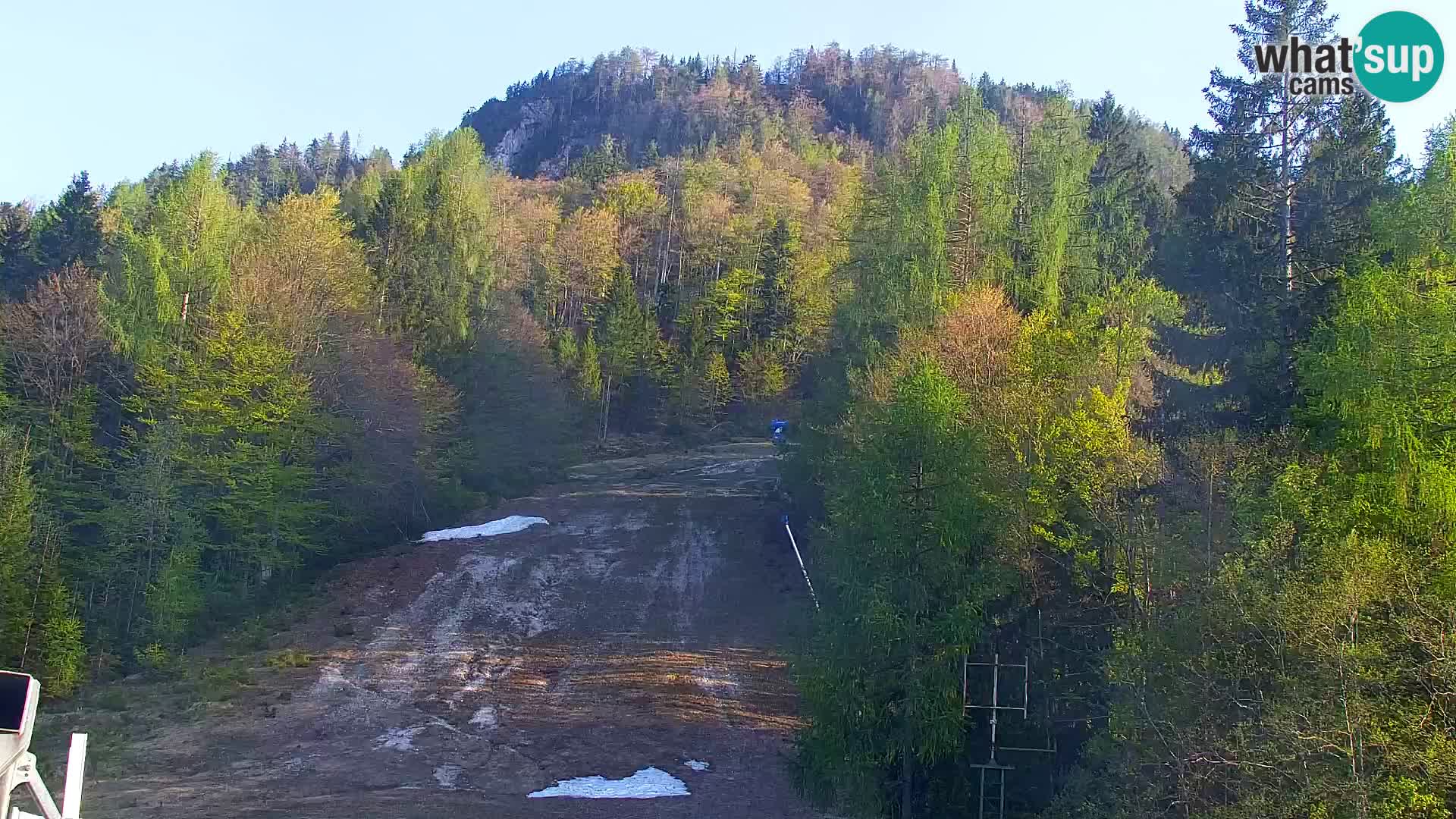 Vitranc Kranjska Gora webcam | VITRANC 1 stazione superiore