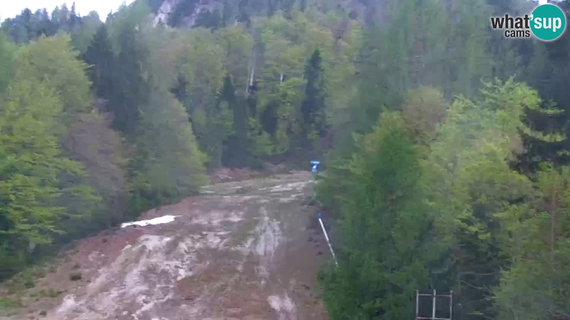 Kranjska Gora web kamera Vitranc | VITRANC 1 gornja postaja