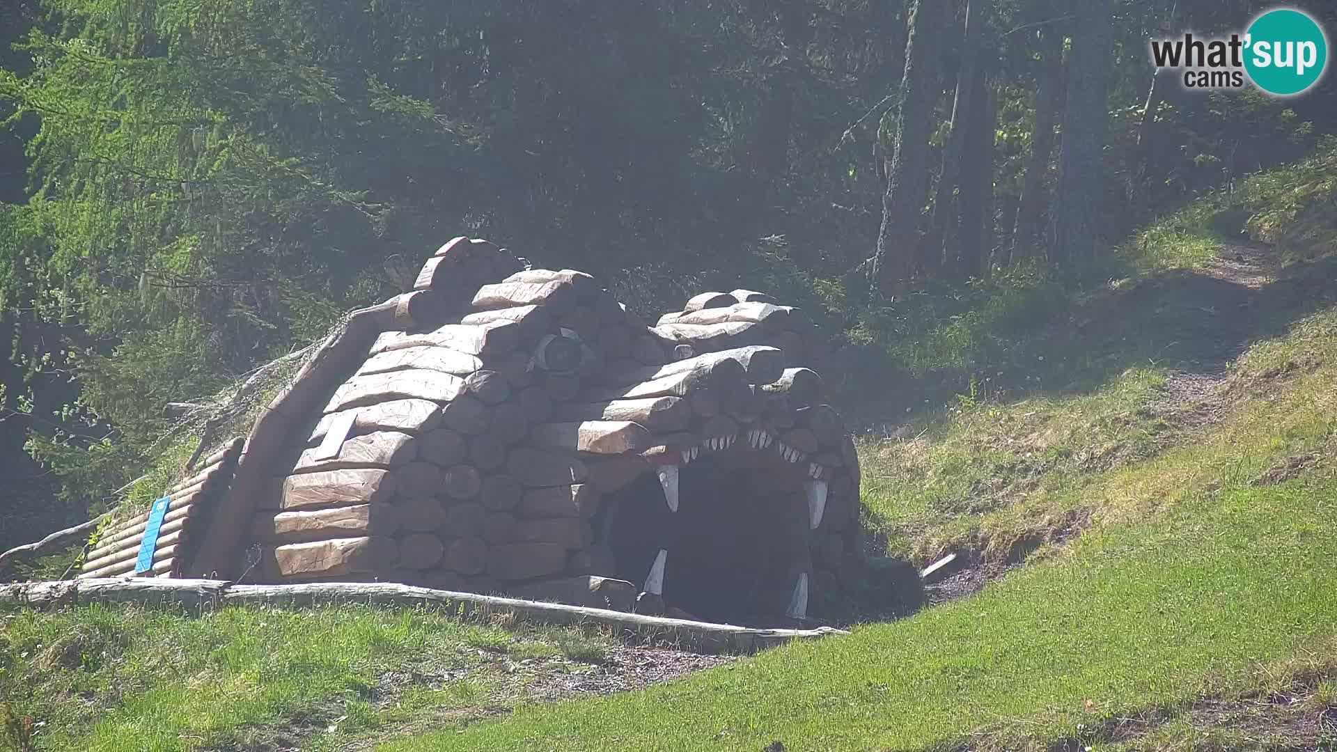 RTC Kranjska Gora – Vitranc