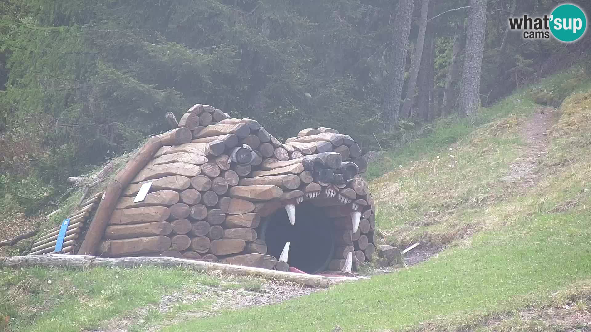 Kranjska Gora livecam VITRANC 1 | estación superior