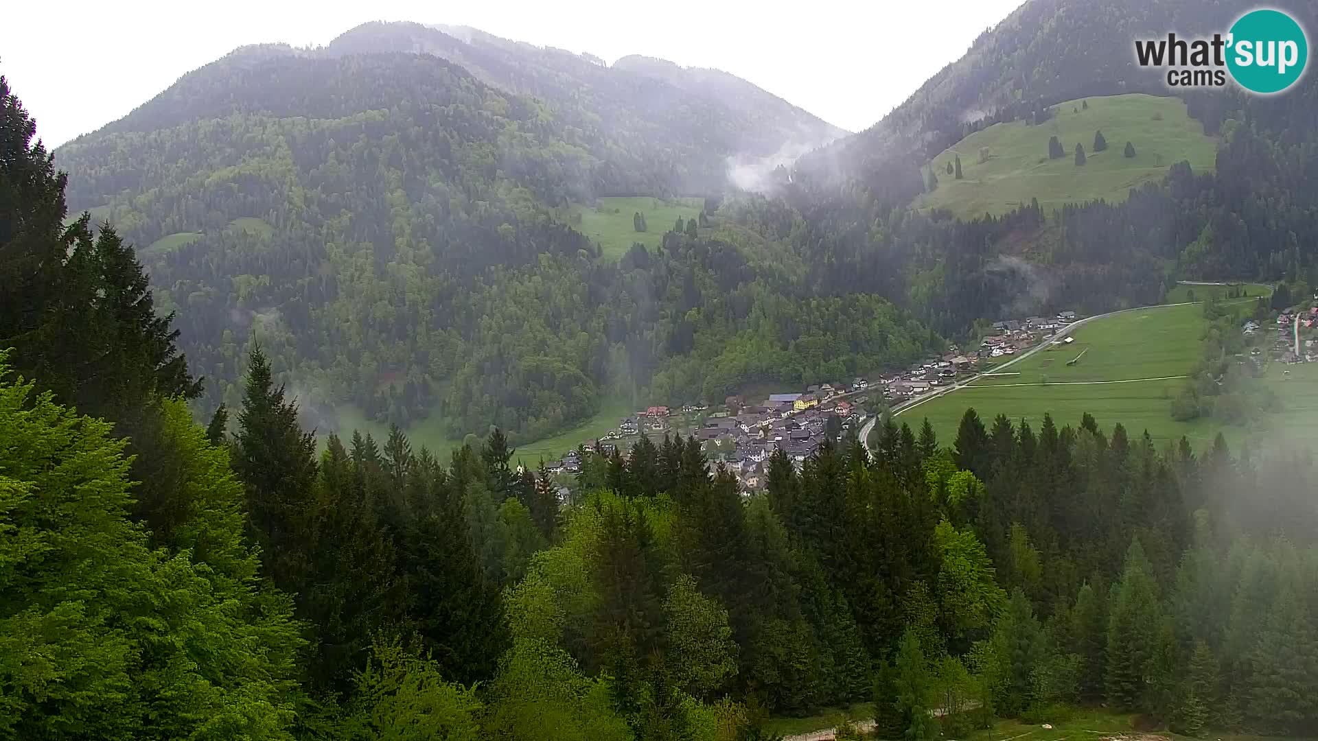 Vitranc Kranjska Gora webcam | VITRANC 1 stazione superiore
