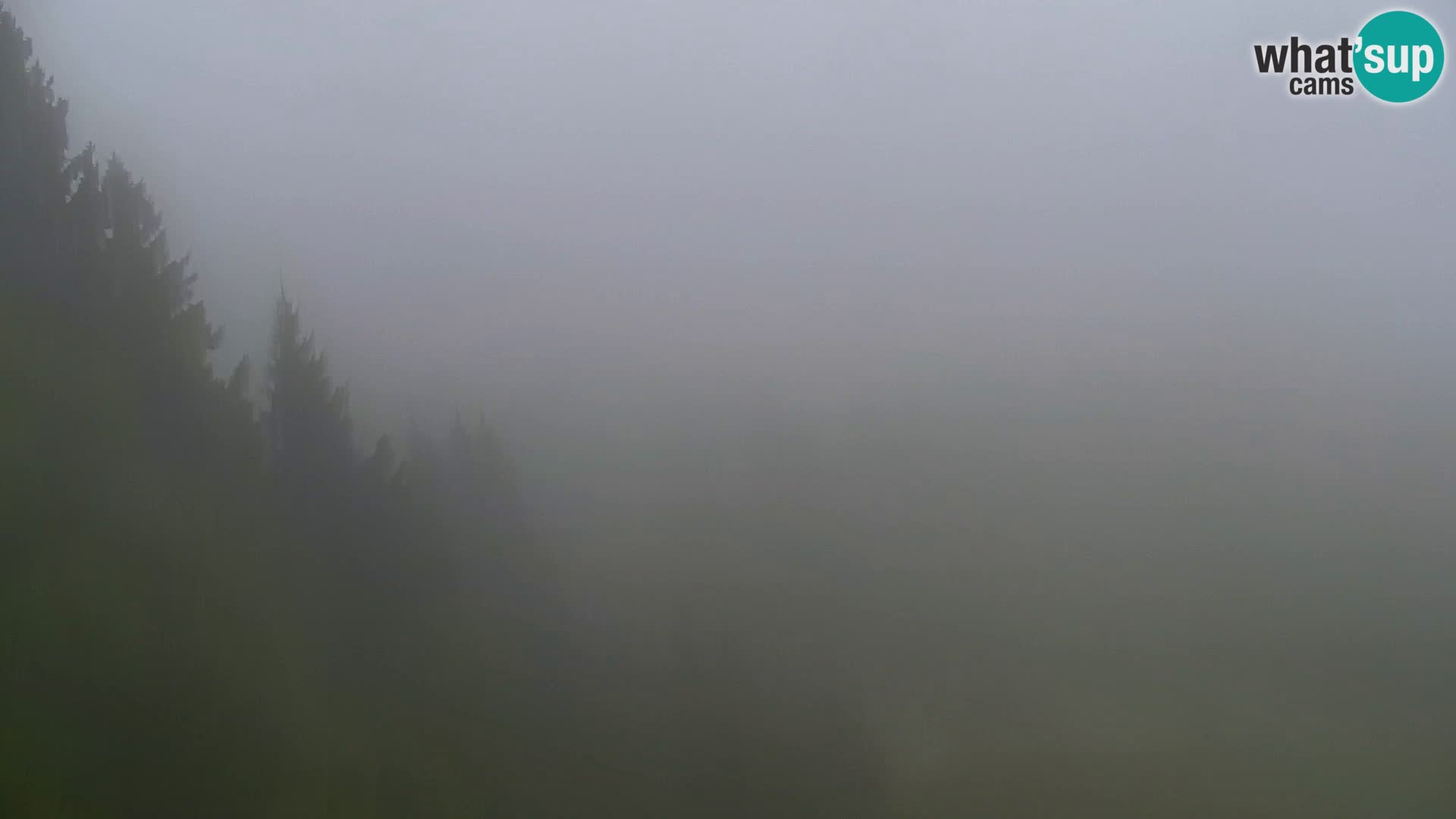 Vitranc Kranjska Gora webcam | VITRANC 1 stazione superiore