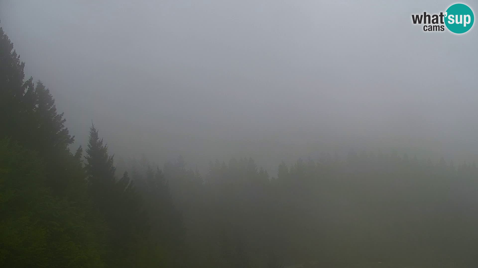 Vitranc Kranjska Gora webcam | VITRANC 1 stazione superiore