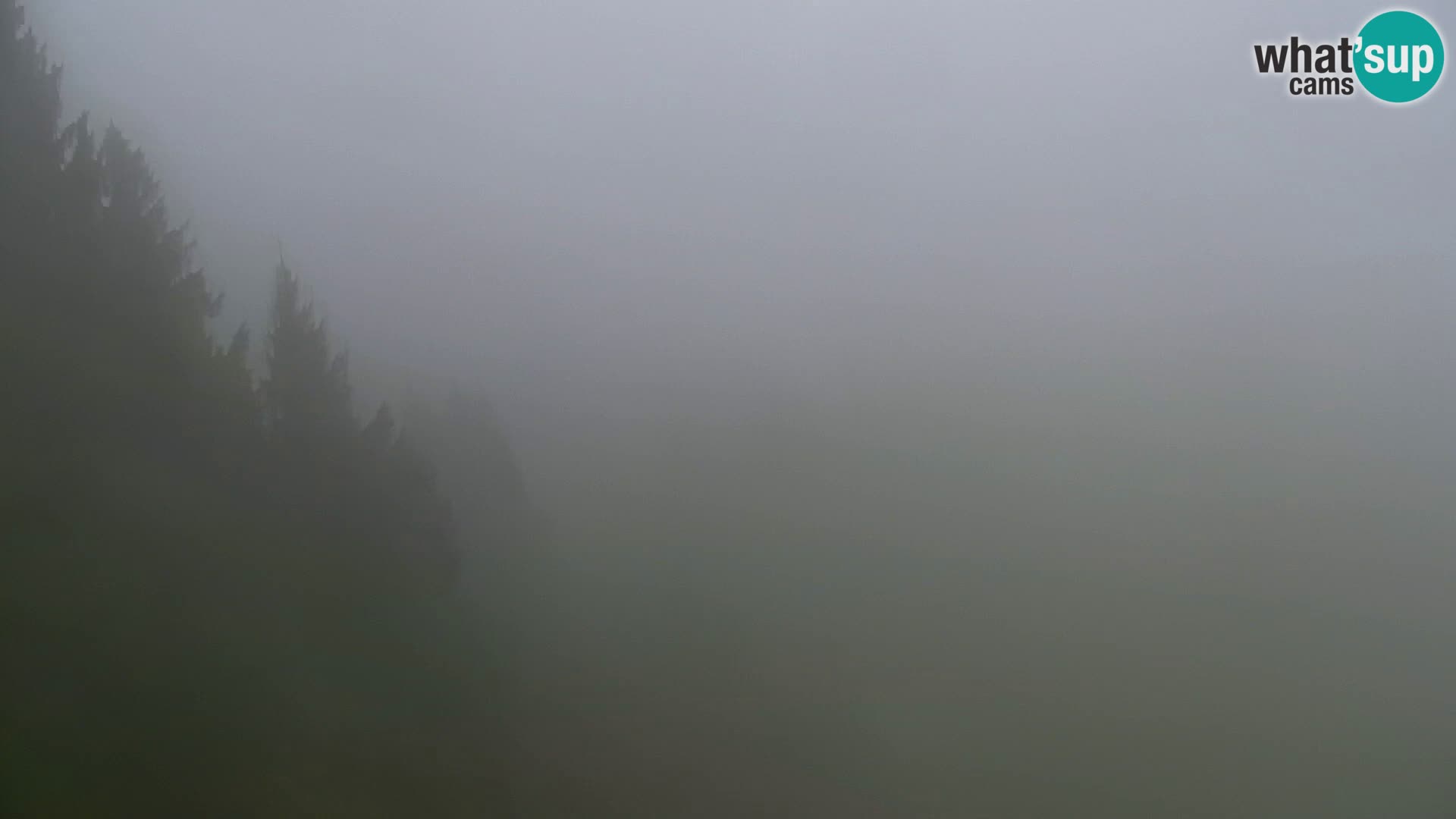 Kranjska Gora livecam VITRANC 1 | estación superior
