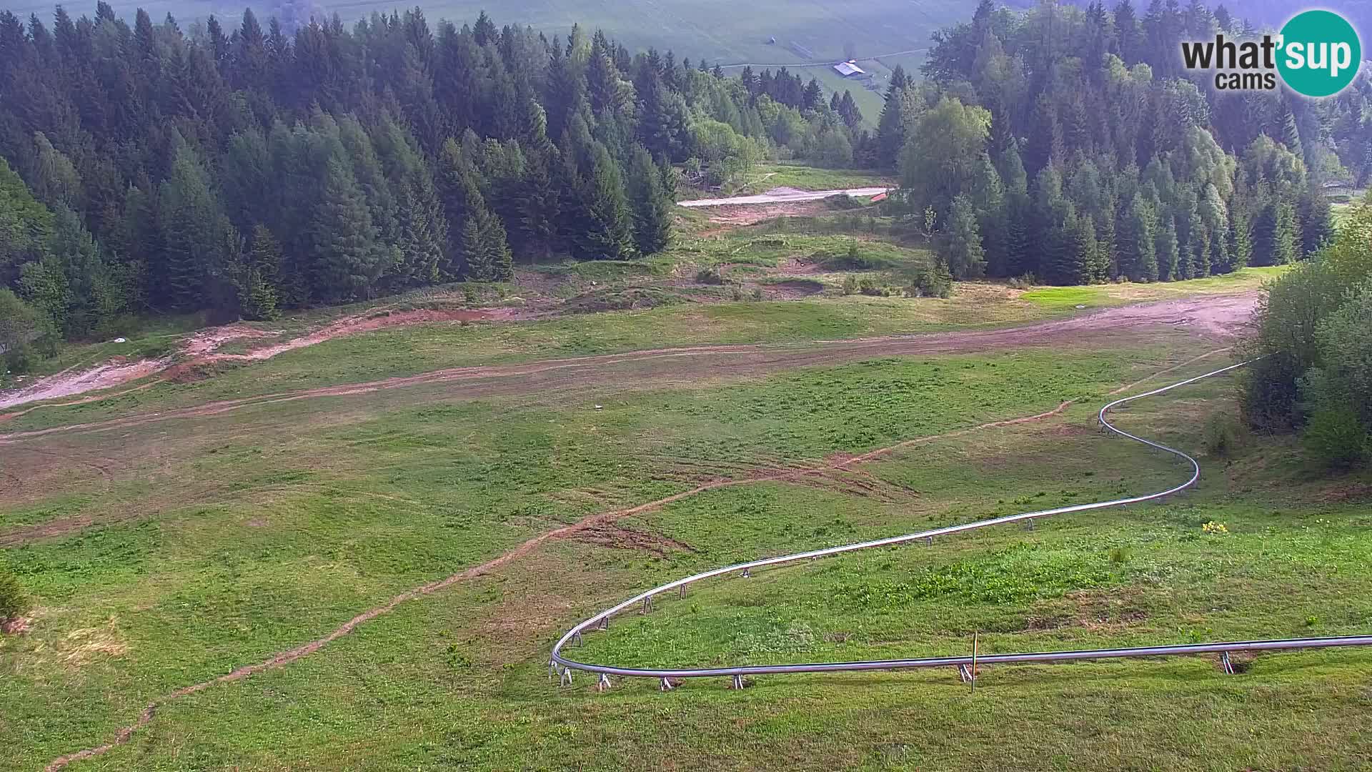 Vitranc Kranjska Gora webcam | VITRANC 1 stazione superiore