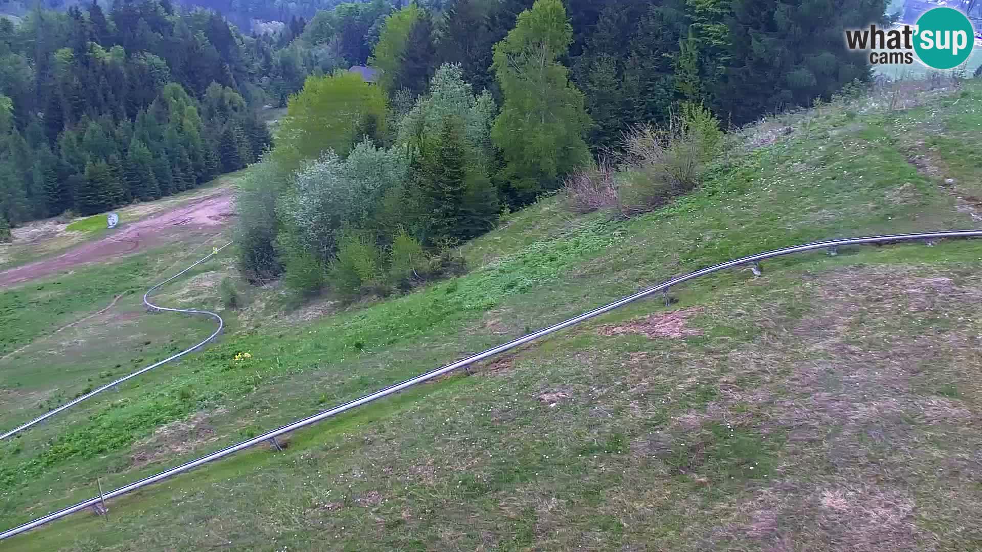 Kranjska Gora livecam VITRANC 1 | estación superior